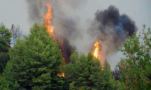 Video. Ενημέρωση και ευαισθητοποίηση για τις δασικές πυρκαγιές