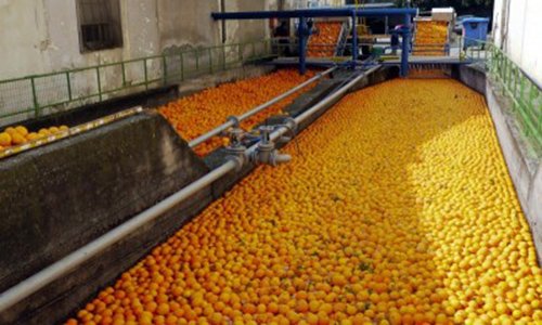 Πορτοκάλια σε εργοστάσιο
