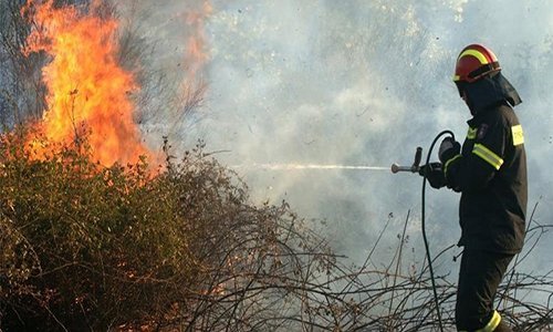 Πυρκαγιά σε αγροτοδασική έκταση στο Τημένιο Άργους