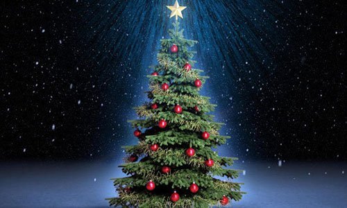 Ανάβουν το Χριστουγεννιάτικο δέντρο στο Κρανίδι