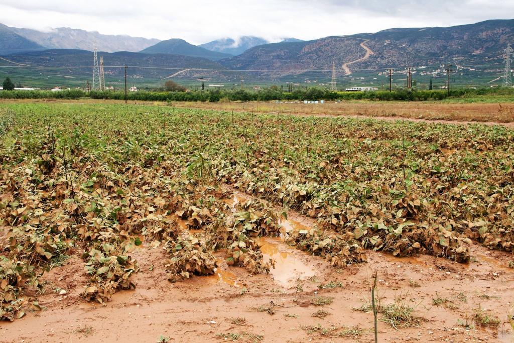 Μεγάλες καταστροφές σε καλλιέργειες στο Άργος