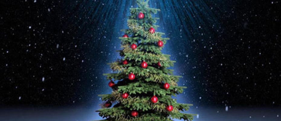 Τρίπολη: Έλατα για τα Χριστούγεννα αναζητά ο δήμος