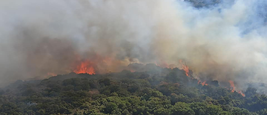 Συναγερμός στη Μονεμβασιά για φωτιά σε δασική έκταση