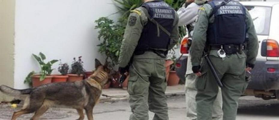 Δήμος Ερμιονίδας: 4 δενδρύλλια κάνναβης ύψους 2 μέτρων και 30 σπόρους εντόπισε ο αστυνομικός σκύλος