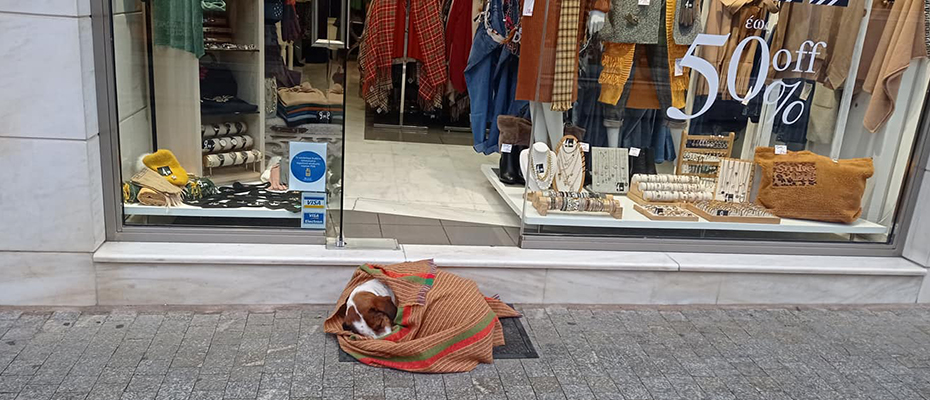 Καταστηματάρχης ζέστανε αδέσποτο σκυλί στην Τρίπολη