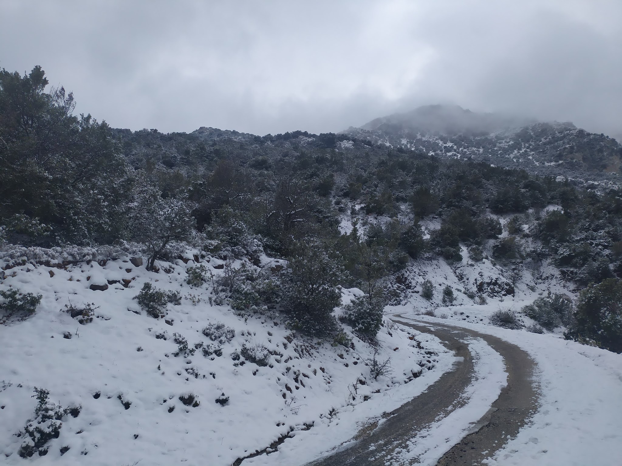 Κύμα ισχυρότατου ψύχους με χιονοπτώσεις έρχεται στην Πελοπόννησο
