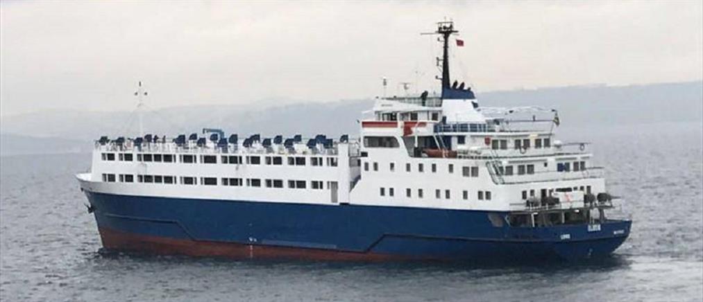 Θρίλερ με το Elbeik: Πώς το πλοίο – υγειονομική βόμβα με τα 1.780 ζώα κατέληξε στην Καλαμάτα
