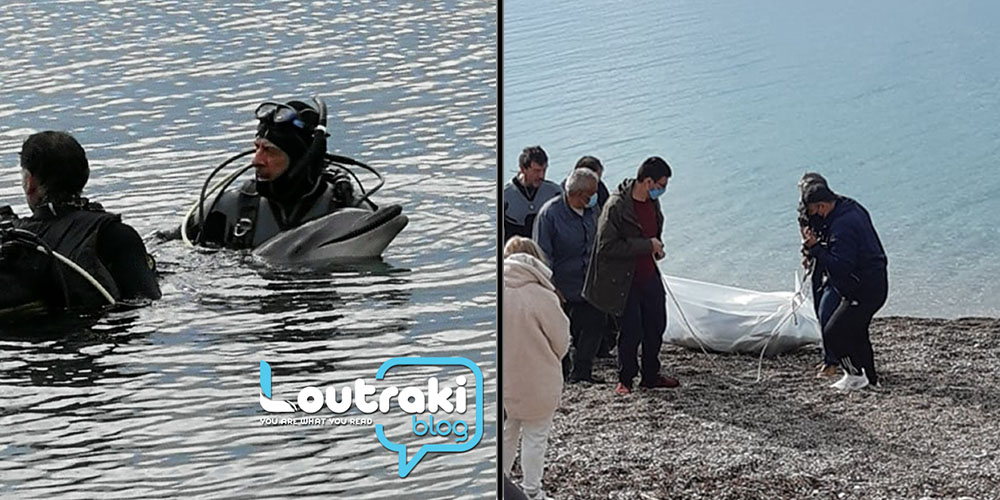 Λουτράκι: Απελπισμένα δελφίνια προσπαθούν on camera να σώσουν αυτό που μπλέχτηκε στα δίχτυα