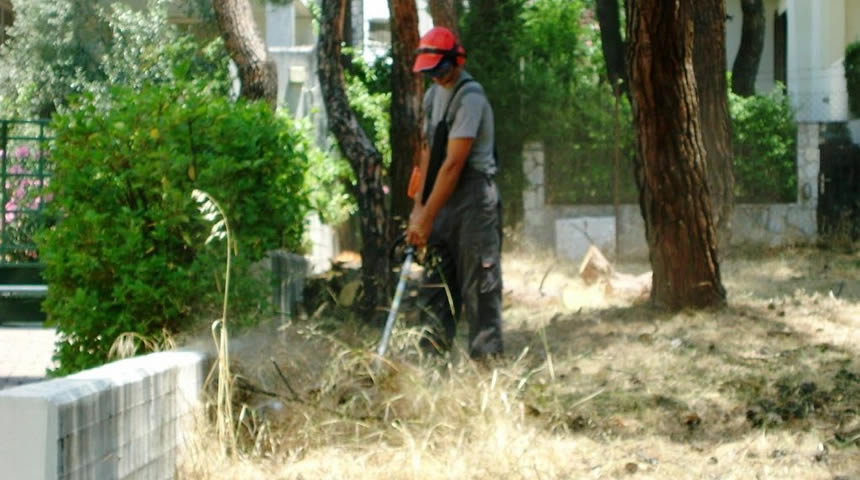 Δήμος Άργους – Μυκηνών: Να καθαρίσετε το συντομότερο δυνατό τα οικόπεδά σας