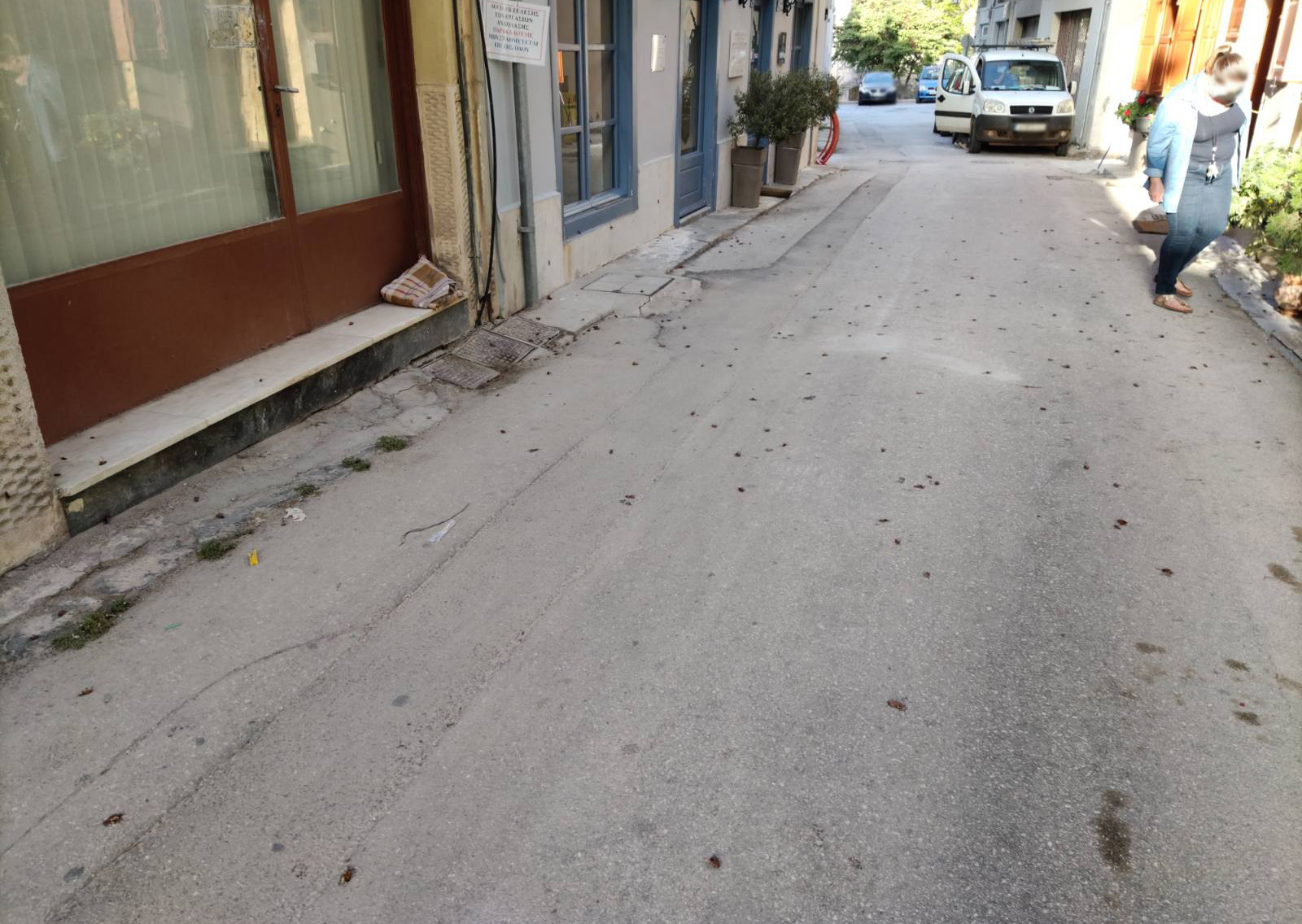 Μάχη με τις κατσαρίδες δίνουν στο Ναύπλιο – Πλήγμα για πολλές γειτονιές