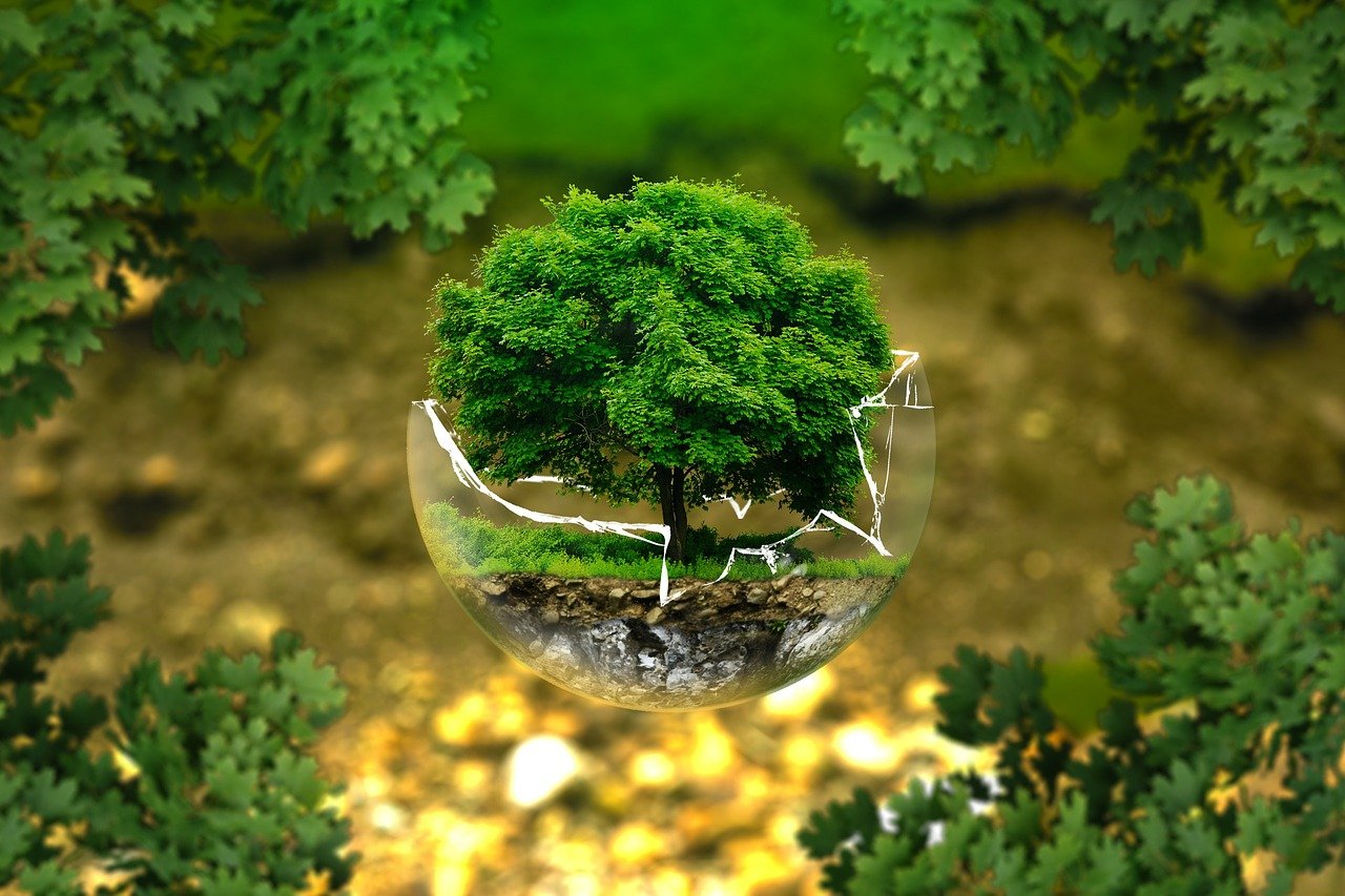 «Φαντάζομαι – Δημιουργώ- Αλλάζω»: Δράση του ΚΠΕ Νέας Κίου για την Παγκόσμια Ημέρα Περιβάλλοντος