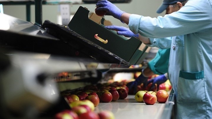 -6,4% στις εξαγωγές φρούτων σε σχέση με πέρσι