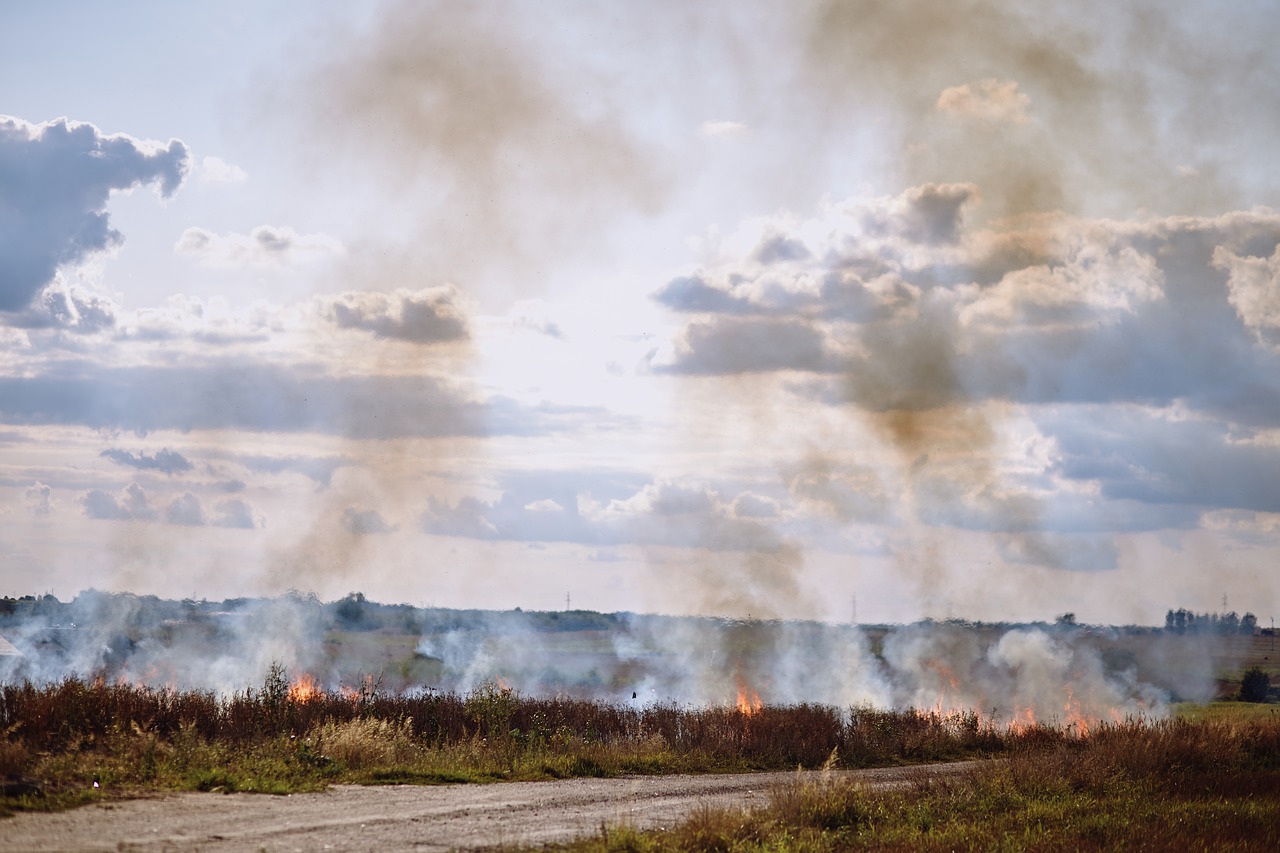 Αργολίδα: Φωτιά στη Μαραθιά Ναυπλίου
