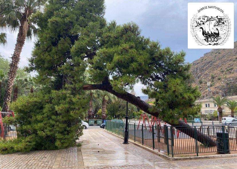 Ναύπλιο: Έπεσε δέντρο μέσα σε παιδική χαρά