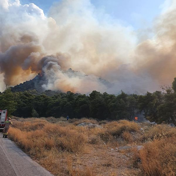 Φωτιές στην Ηλεία: Πύρινος κλοιός σε Νεμούτα και Βαρβάσαινα – Δραματική έκκληση για βοήθεια