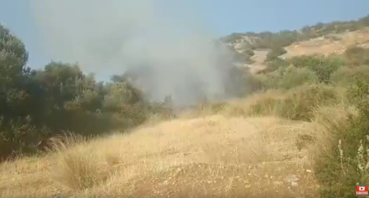 Κάντια: Μικρής έκτασης φωτιά έκαψε ελιές (βίντεο)