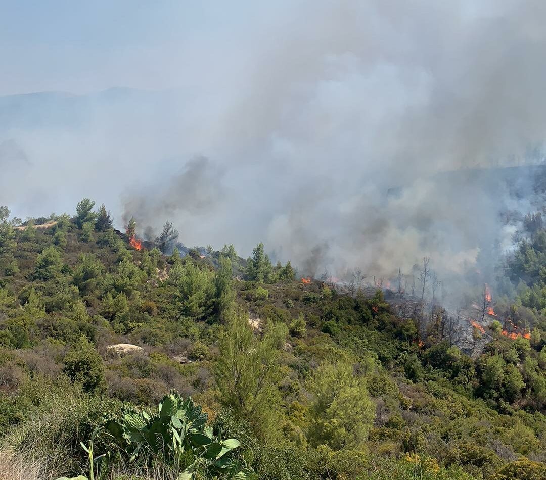 Κορινθία: Φωτιά στο Χιλιομόδι