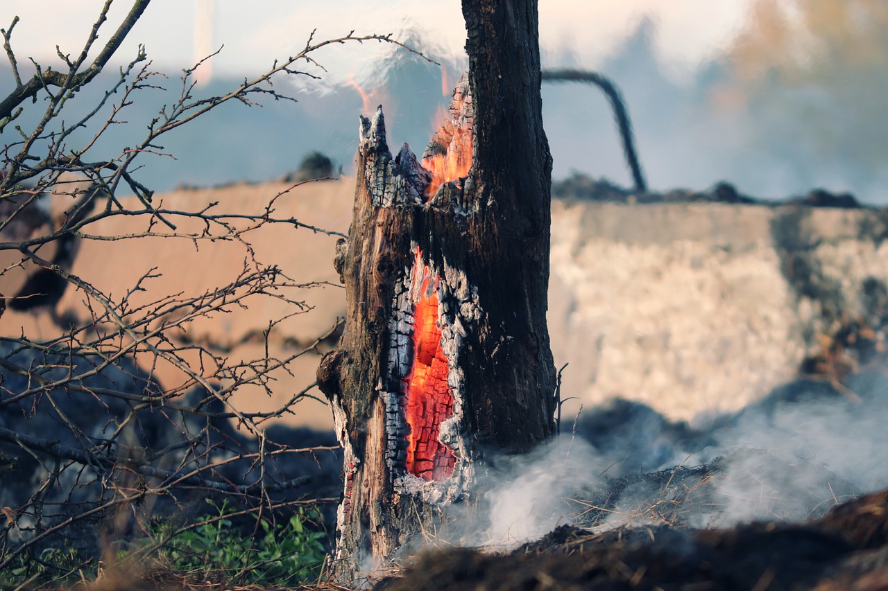 Ακραίος κίνδυνος πυρκαγιάς σε Αργολίδα, Κορινθία και Μεσσηνία