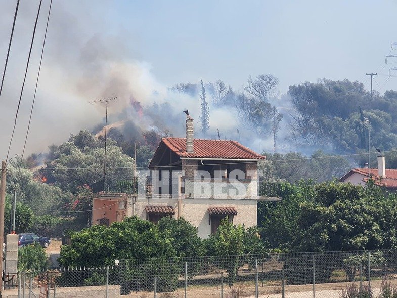 Ζήρια Αχαΐας: Καίγονται σπίτια από τη μεγάλη φωτιά (βίντεο & φωτογραφίες)