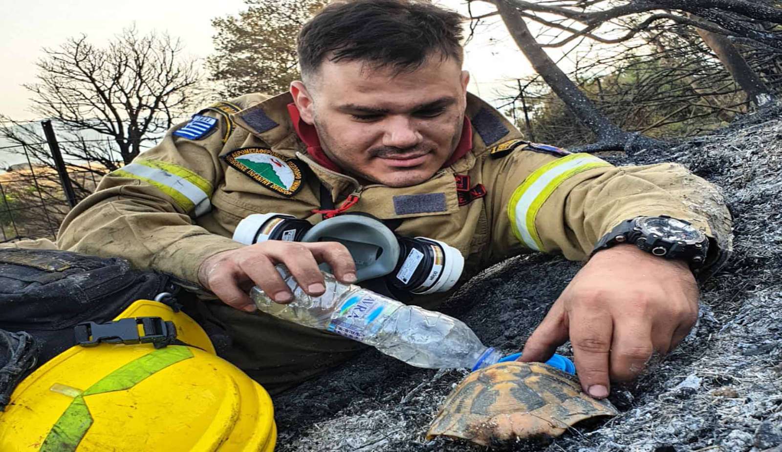 Φωτιά στην Αχαΐα: Η viral φωτογραφία με τον πυροσβέστη που δίνει νερό σε χελώνα