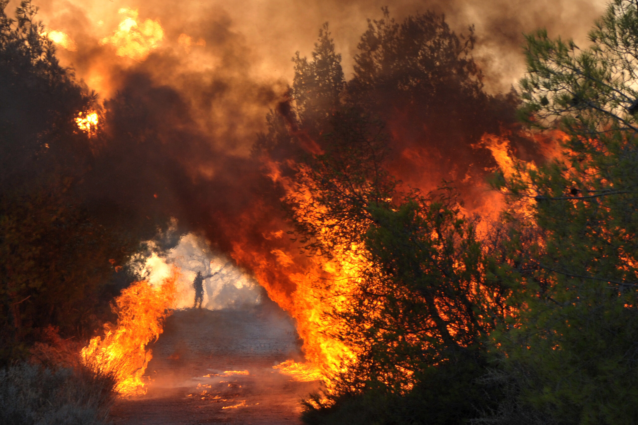 Φωτιά στην Πελοπόννησο: Πυροσβέστες με εγκαύματα και αναπνευστικά