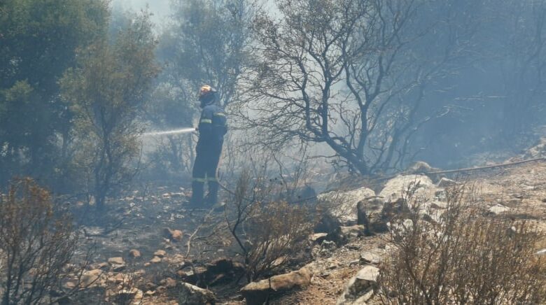 Επιτροπές καταγραφής ζημιών από τις πυρκαγιές σε Aρκαδία, Λακωνία και Μεσσηνία