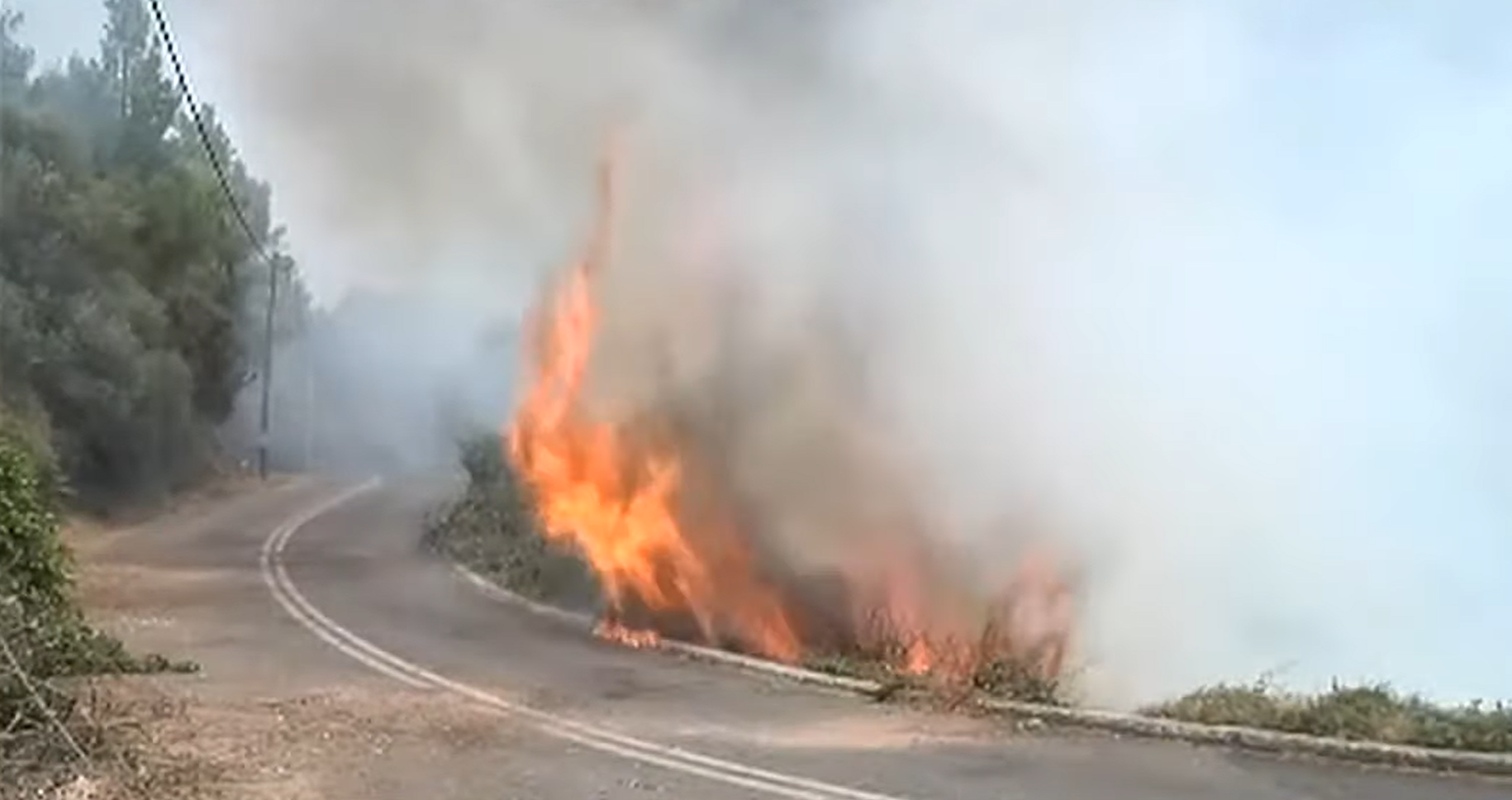 Φωτιά στην Ηλεία: Νέες εστίες ξεπετάγονται διαρκώς σε Νεμούτα και Βασιλάκι