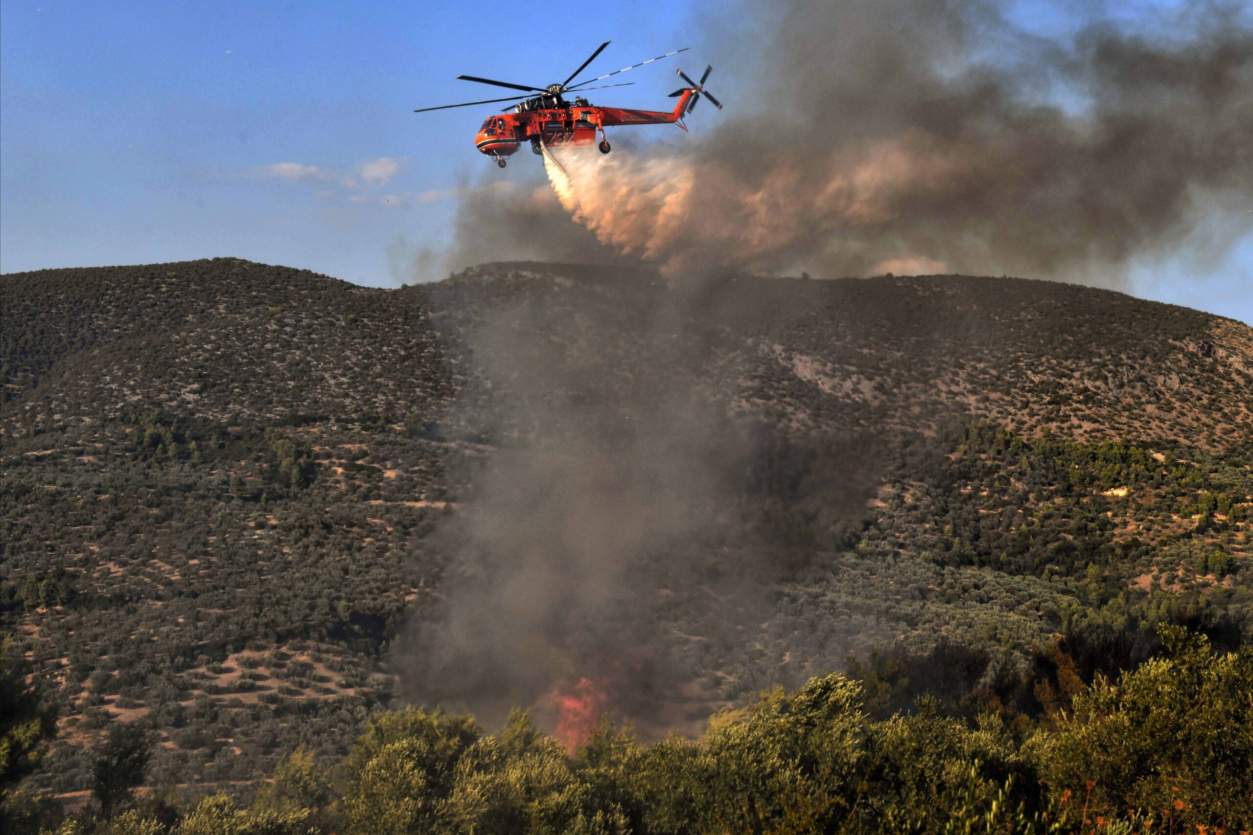 Νέα φωτιά στη Λακωνία κινητοποίησε δύο ελικόπτερα