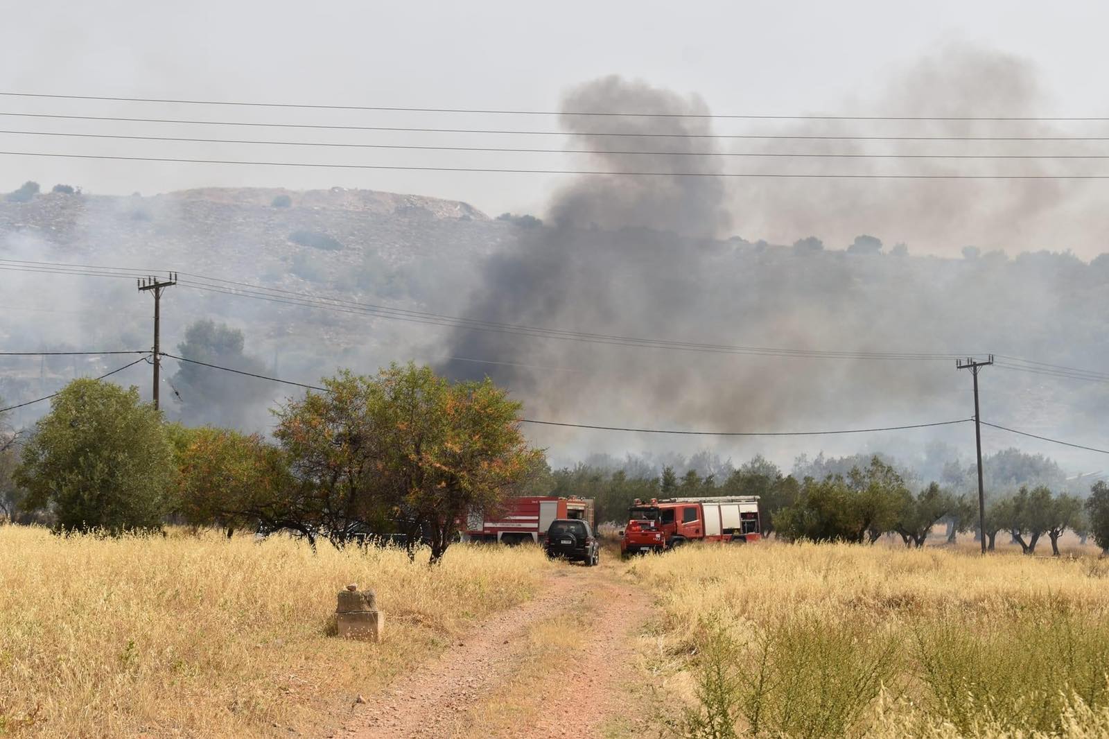 Νέα Κίος: Δεύτερη φωτιά στο ίδιο σημείο μέσα σε λίγη ώρα – Απειλήθηκαν σπίτια