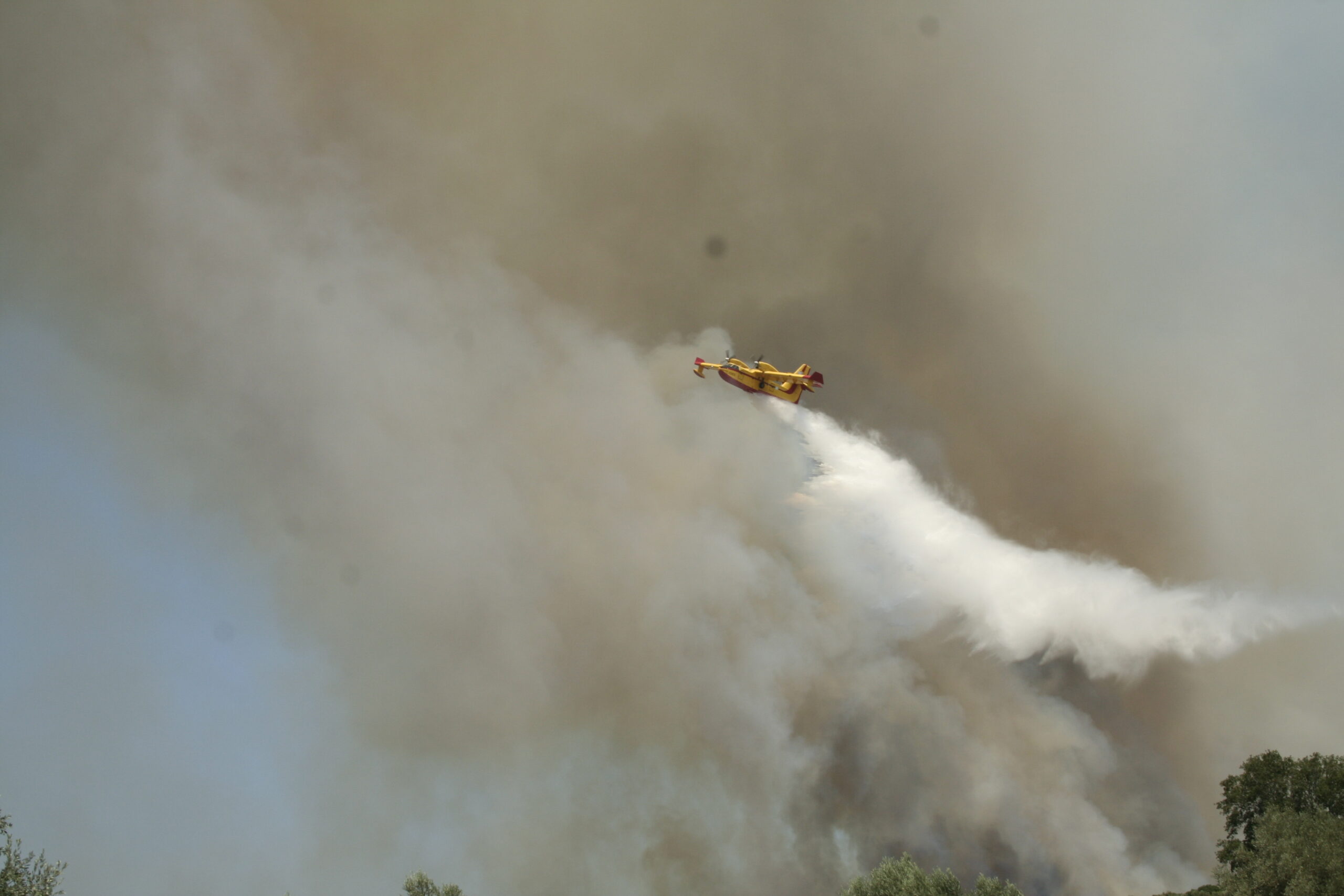 Μεγάλη πυρκαγιά στην Αμαλιάδα, κοντά σε χωριό – Στη μάχη και δύο αεροσκάφη