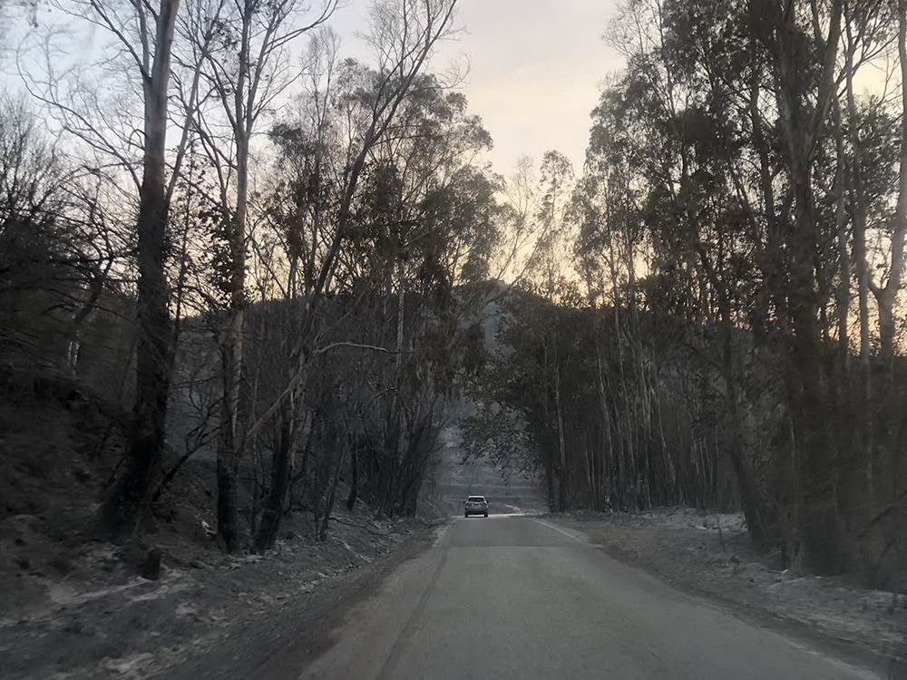 Καταστροφικό πέρασμα των πυρκαγιών από Λακωνία και Μεσσηνία