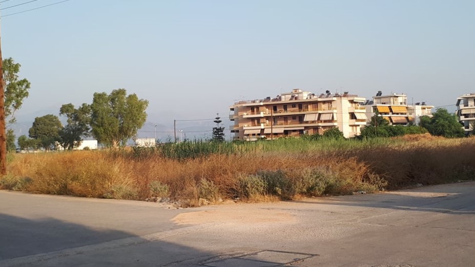 Ξερά χόρτα στην περιοχή Αγίου Αναστασίου, στο Ναύπλιο