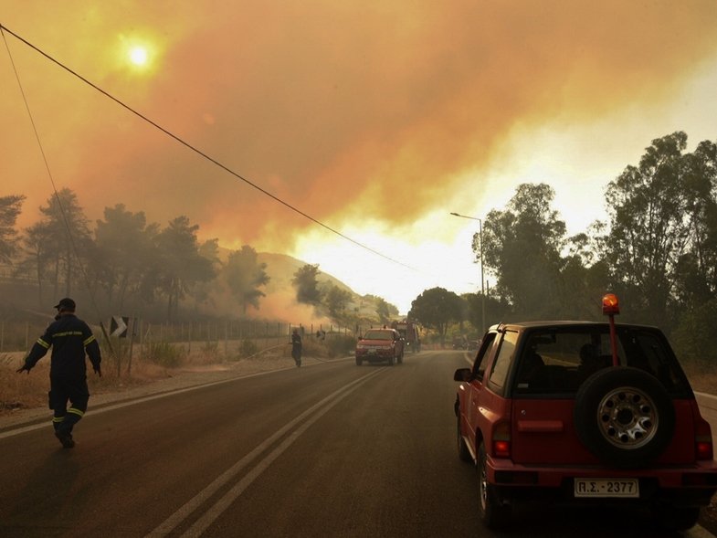 Φωτιές στην Αχαΐα: Ποια είναι τα πρώτα μέτρα για τους πυρόπληκτους