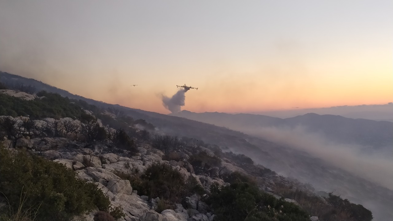 Ηλεία: Μεγάλη κινητοποίηση για φωτιά σε λιοστάσια στα Δουνέικα