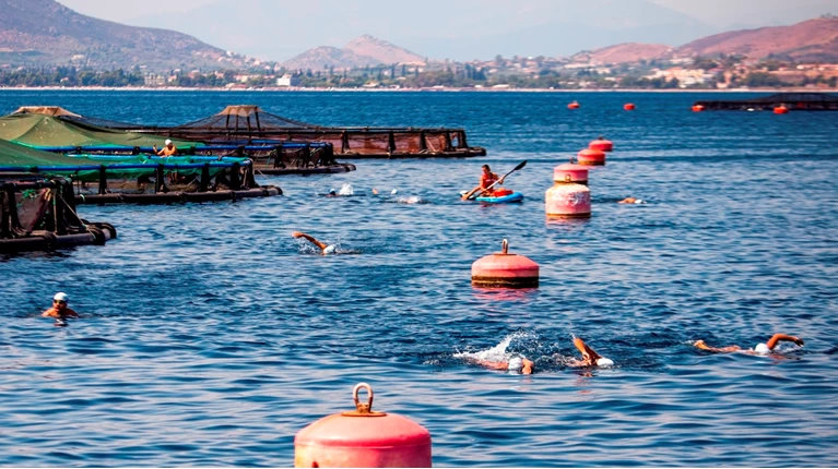 Μια ομάδα κολυμβητών κολυμπάει δίπλα στους κλωβούς όπου μεγαλώνουν τα ψάρια ελληνικής ιχθυοκαλλιέργειας