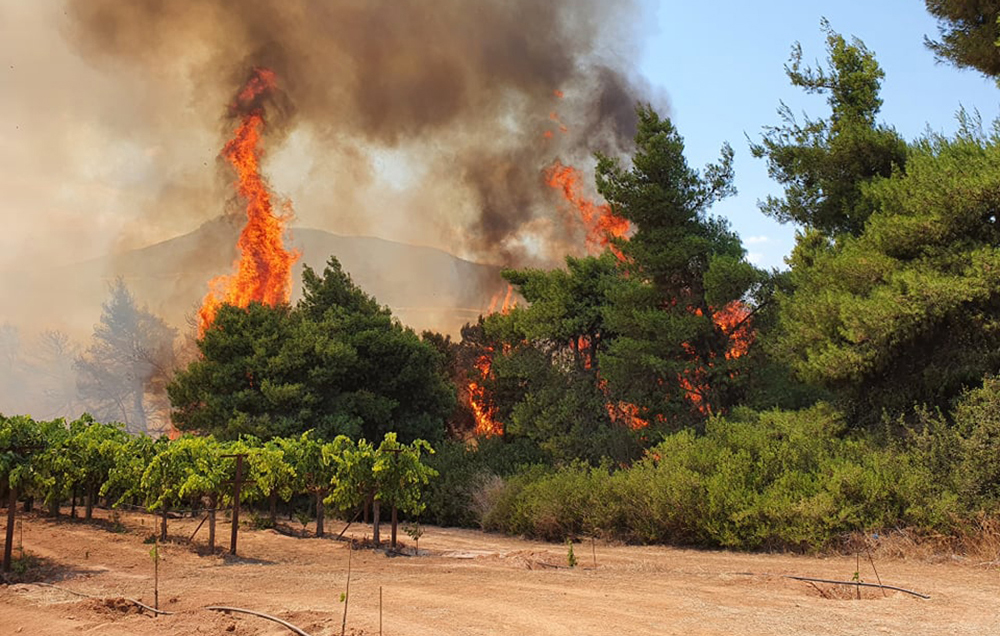 Νέα φωτιά ανάμεσα σε Άργος και Σοφικό – Σηκώθηκαν 4 αεροσκάφη