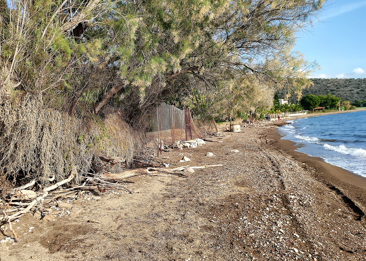 Γιατί χάθηκε η παραλία στην Κάντια – Τραγική η κατάσταση με τη διάβρωση