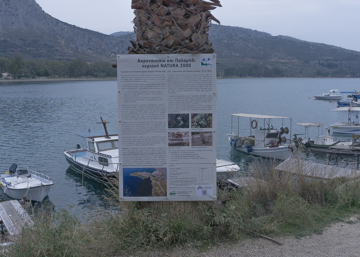 Ναύπλιο: Το πλούσιο οικοσύστημα σε Ακροναυπλία και Παλαμήδι ζωντανεύει μέσα από ενημερωτικές πινακίδες