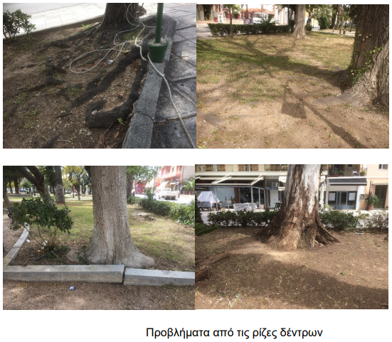 Πάρκο Κολοκορτώνη στο Ναύπλιο - Προβλήματα στις ρίζες των δέντρων