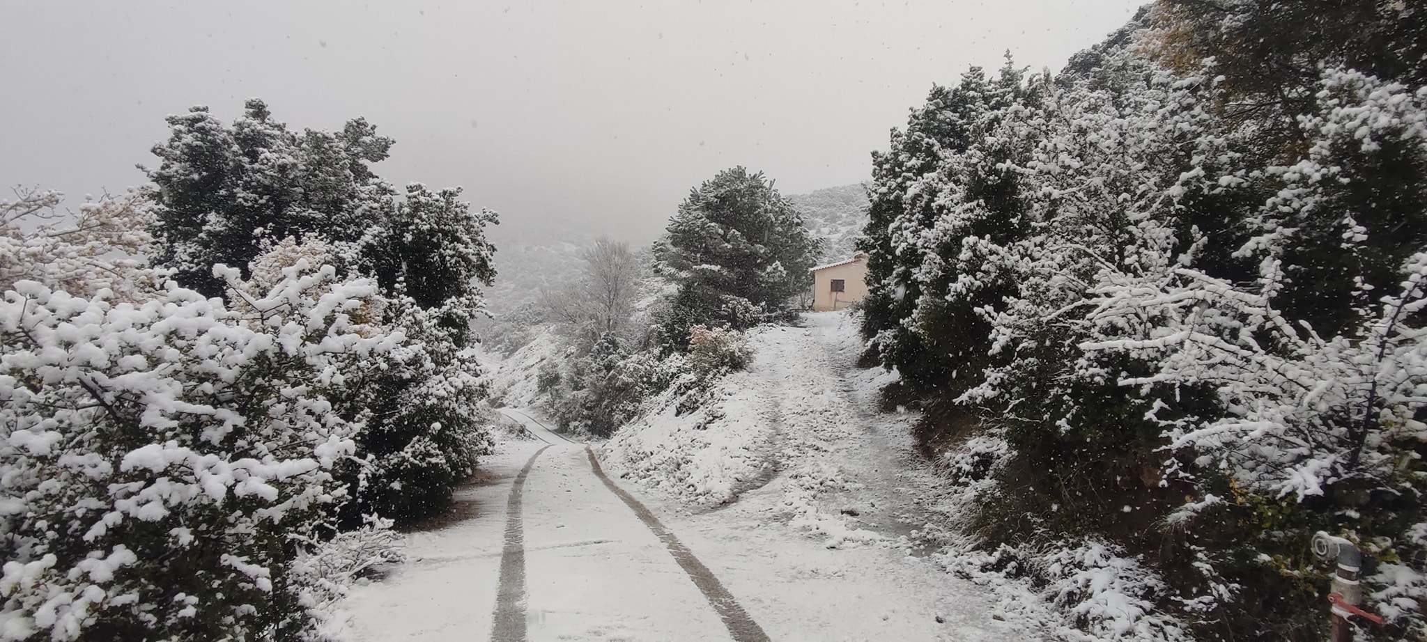 Πανέμορφο χιονισμένο Κεφαλόβρυσο στην ορεινή Αργολίδα (Εικόνες)