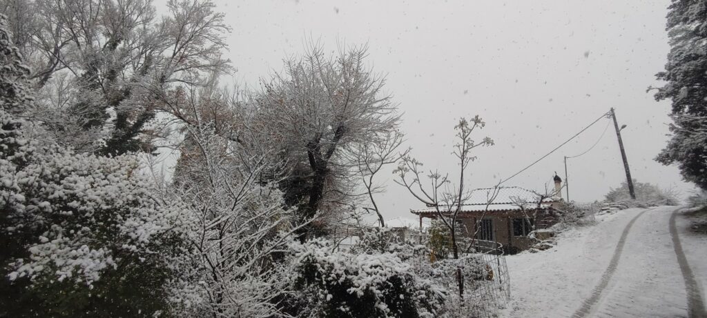Χιόνια στο Κεφαλόβρυσο Αργολίδα (6)
