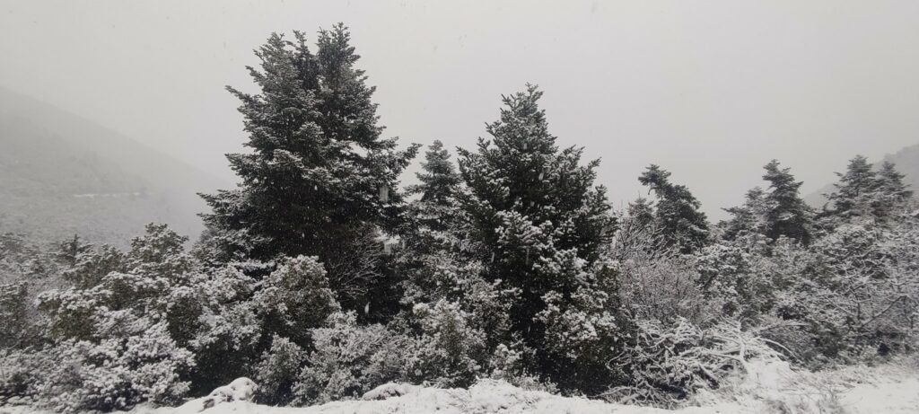 Χιόνια στο Κεφαλόβρυσο Αργολίδα (8)