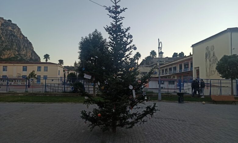 Χριστουγεννιάτικο δέντρο στο Ναύπλιο (5)