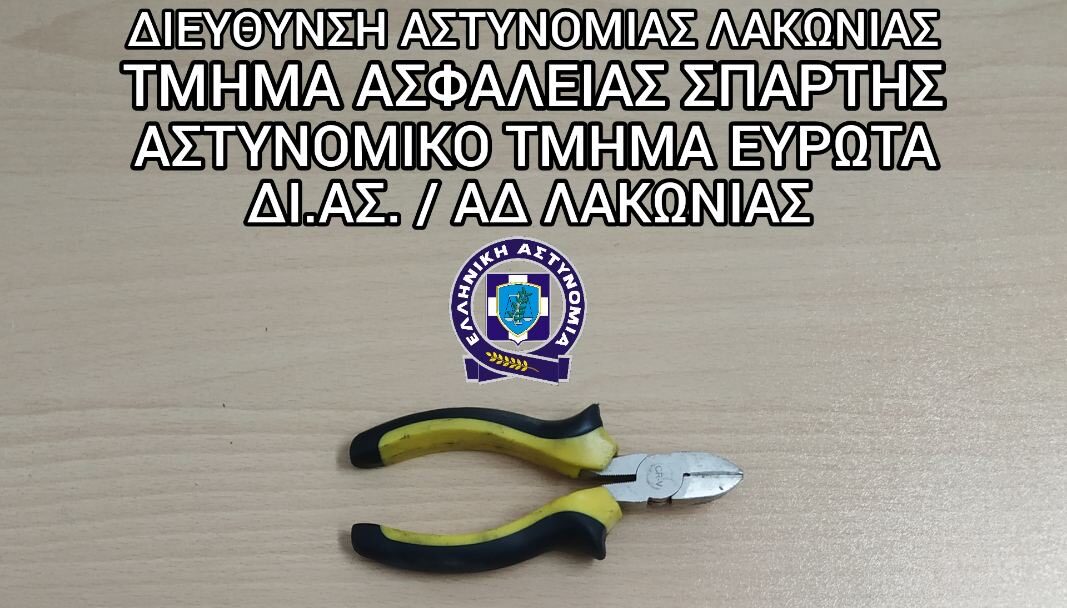 Λακωνία Κλοπές