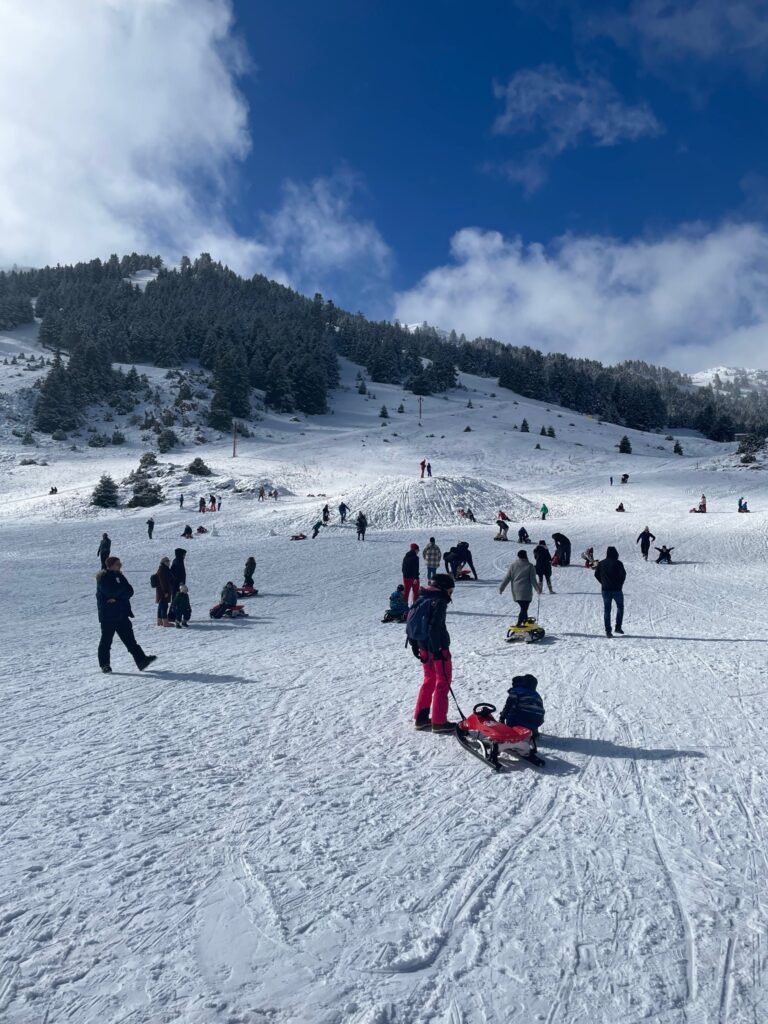 Χιονοδρομικό κέντρο Μαινάλου (9)