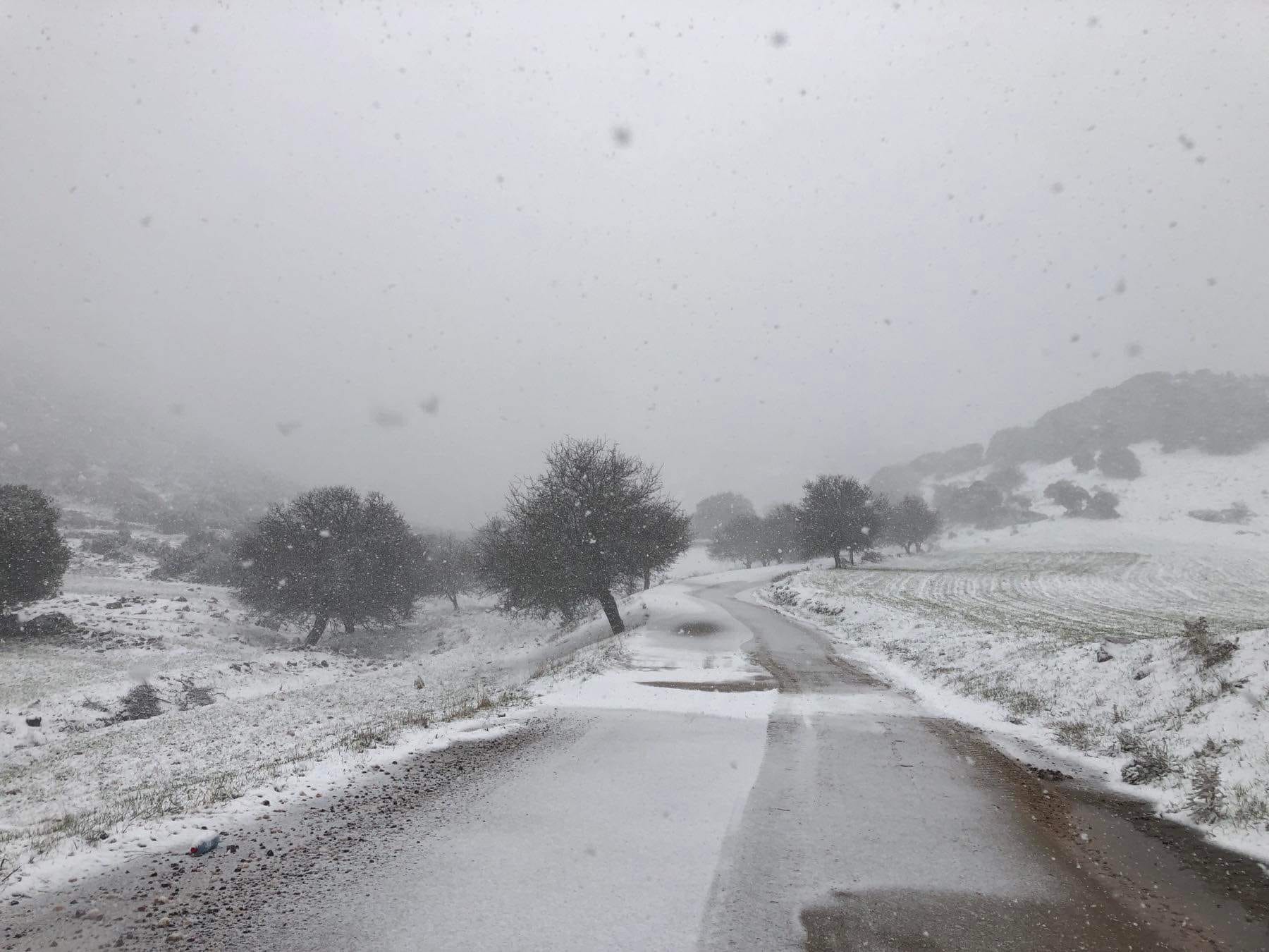 Χιόνια δήμος Άργους Μυκηνών (1)