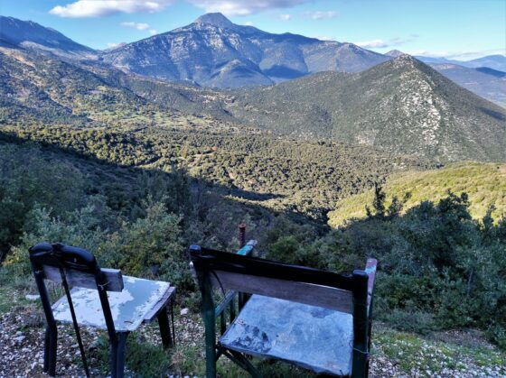 Την τιμητική του είχε ο Χτενιάς