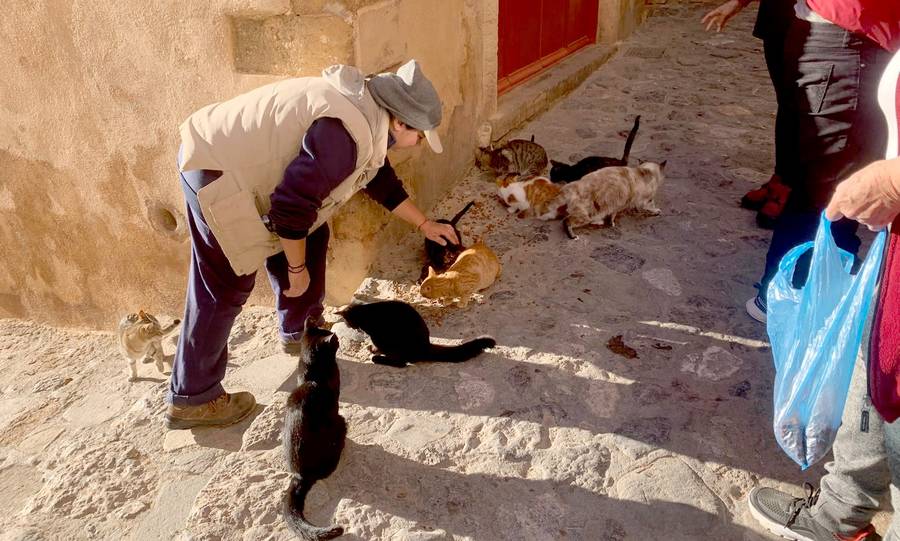 Μονεμβασιά: Φροντίζοντας και περιθάλποντας τις γάτες στο Κάστρο