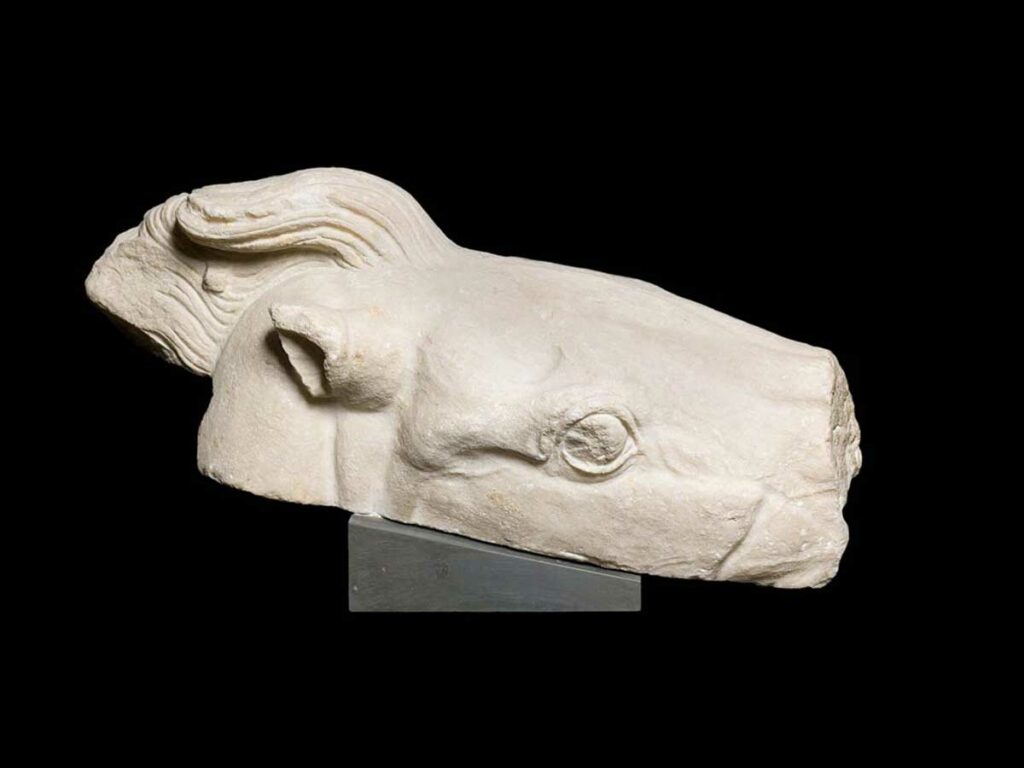 Εικ.3α: Σπάραγμα από κεφάλι του αλόγου στο Μουσείο του Βατικανού