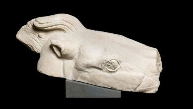 Σπάραγμα από κεφάλι του αλόγου στο Μουσείο του Βατικανού